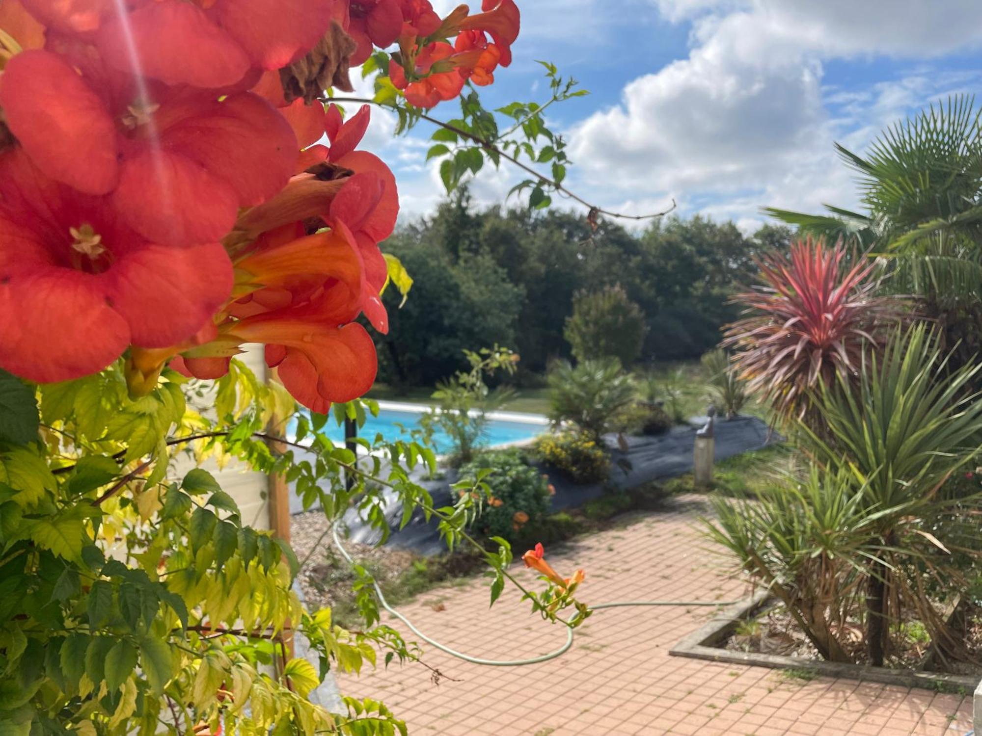 Gite Douceur De Vivre Saint-Avaugourd-des-Landes Buitenkant foto